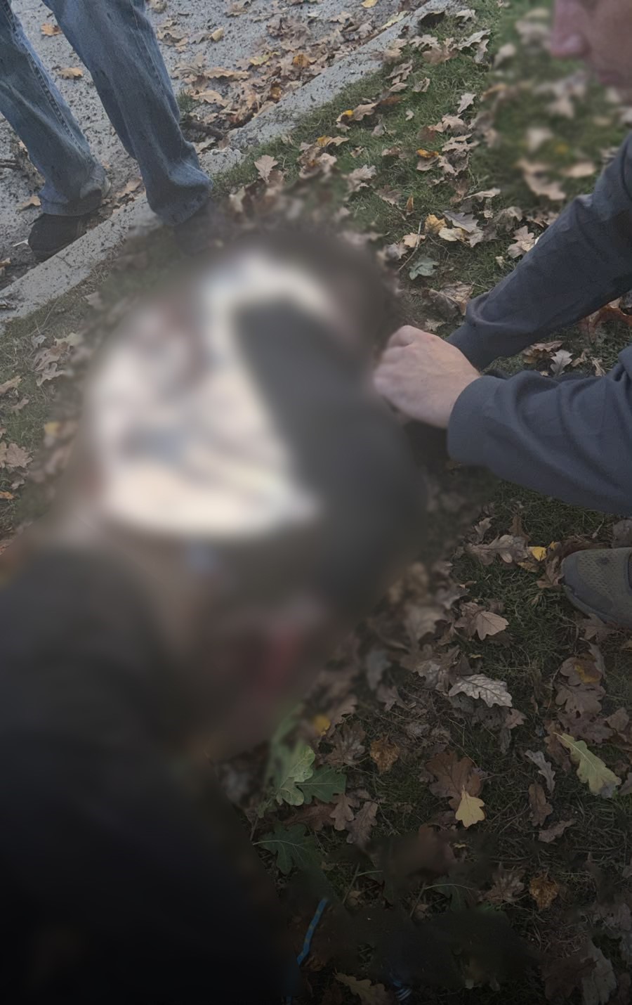 Rusya Ukrayna’da parkı vurdu: 3’ü çocuk 6 ölü
