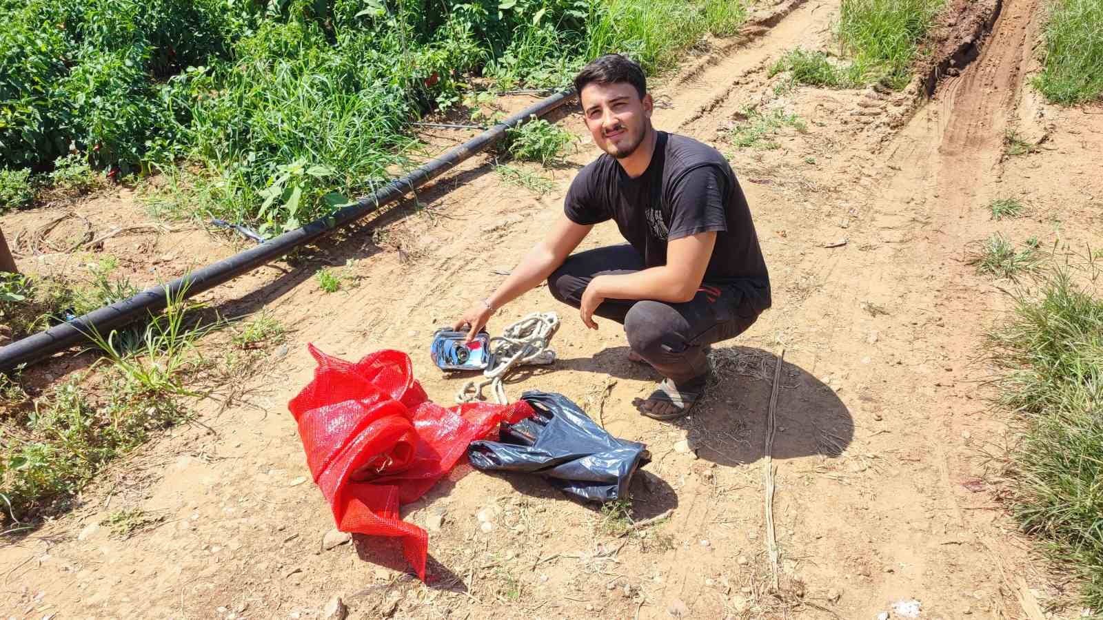 Salçalık biberi önce hırsızlar hasat etti
