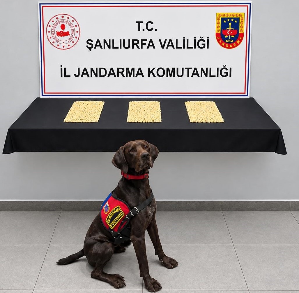 Şanlıurfa’da 2 bin 970 Captagon hap ele geçirildi
