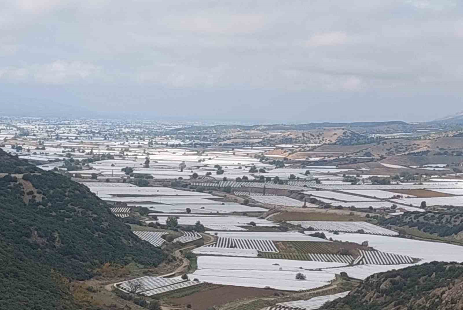 Sarıgöl’de binlerce ton üzüm örtü altında bekliyor
