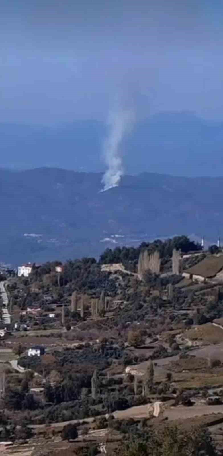 Seydikemer’de orman yangını
