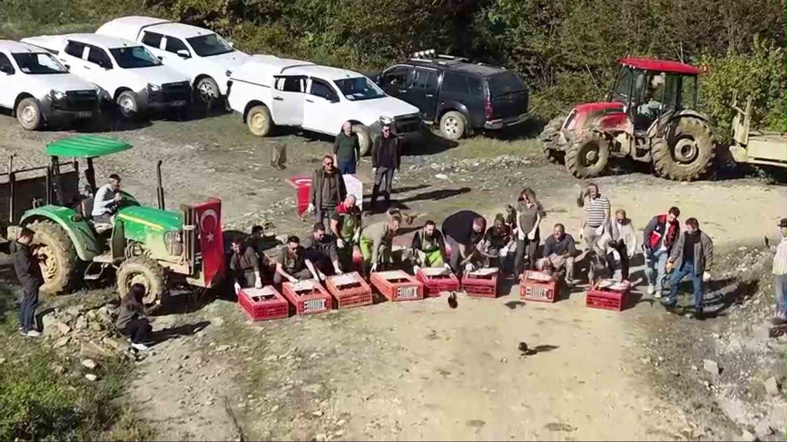 Sinop’ta 550 sülün doğaya salındı
