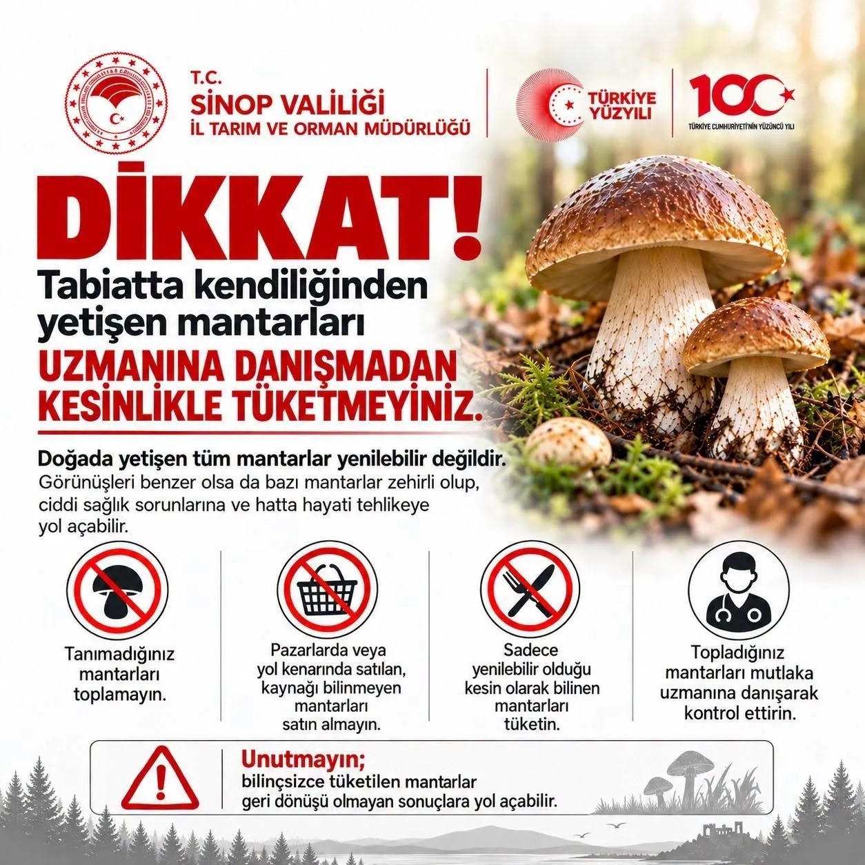Sinop'ta, Hayati Mantar Uyarısı! sinopta mantar toplayicilarina uyari 20260929AW798813