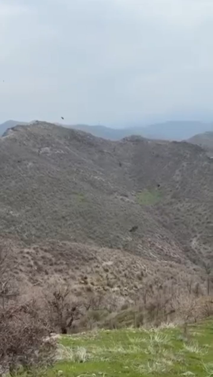 Şırnak’ta kartalın domuz avı kamerada
