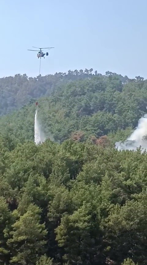 Soğutma çalışmalarının sürdüğü ormanlık alanda yeniden yangın çıktı
