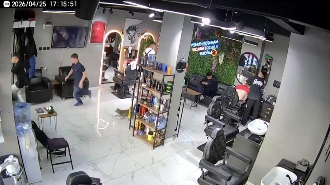 Sultangazi’de kuaförde  ilginç anlar kamerada: Kedi müşterileri kovaladı
