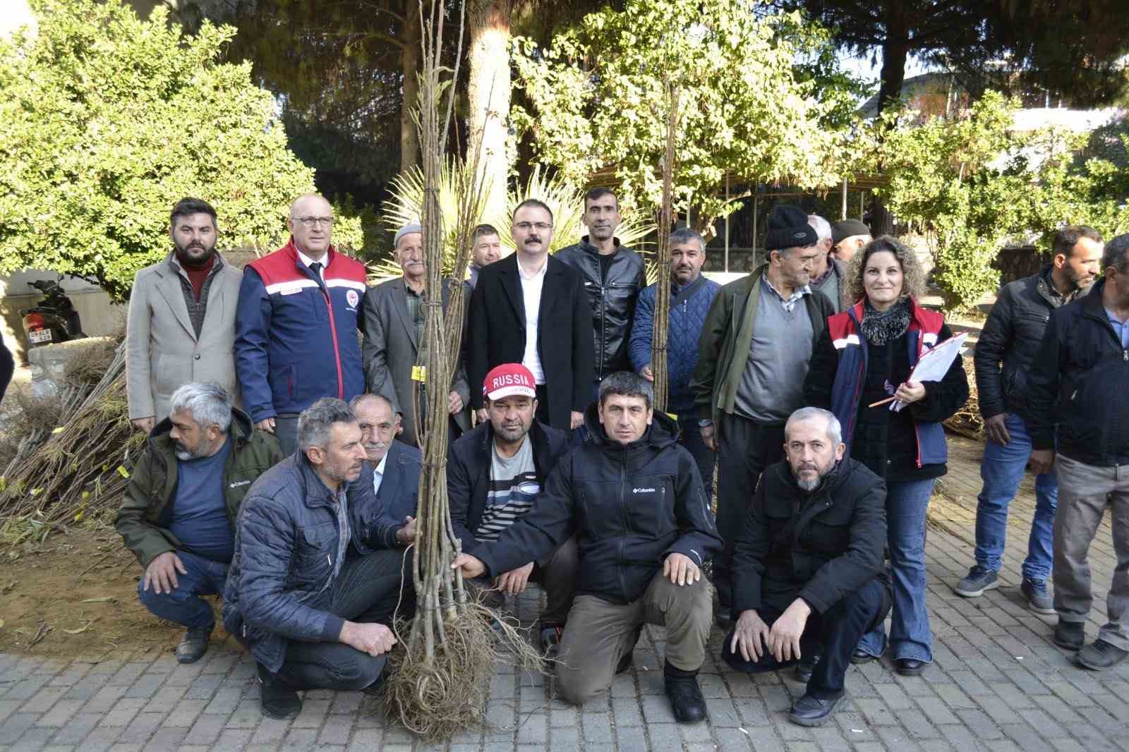 Sultanhisar’da üreticiye kestane ve incir fidesi dağıtıldı
