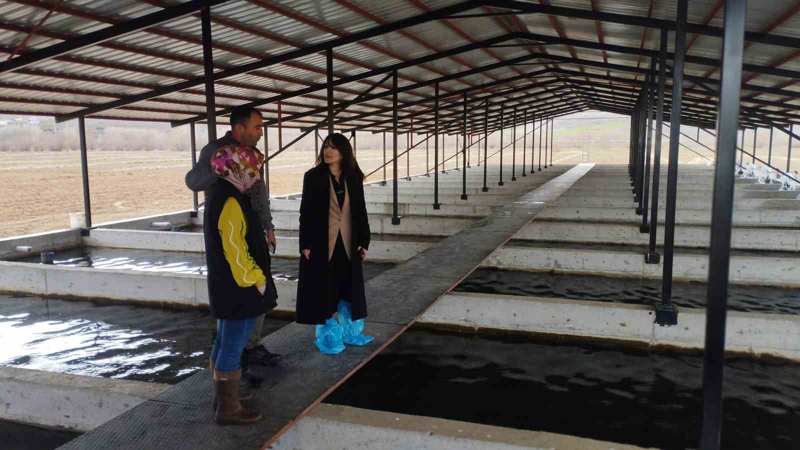 Tercan’da alabalık üretim tesisine denetim
