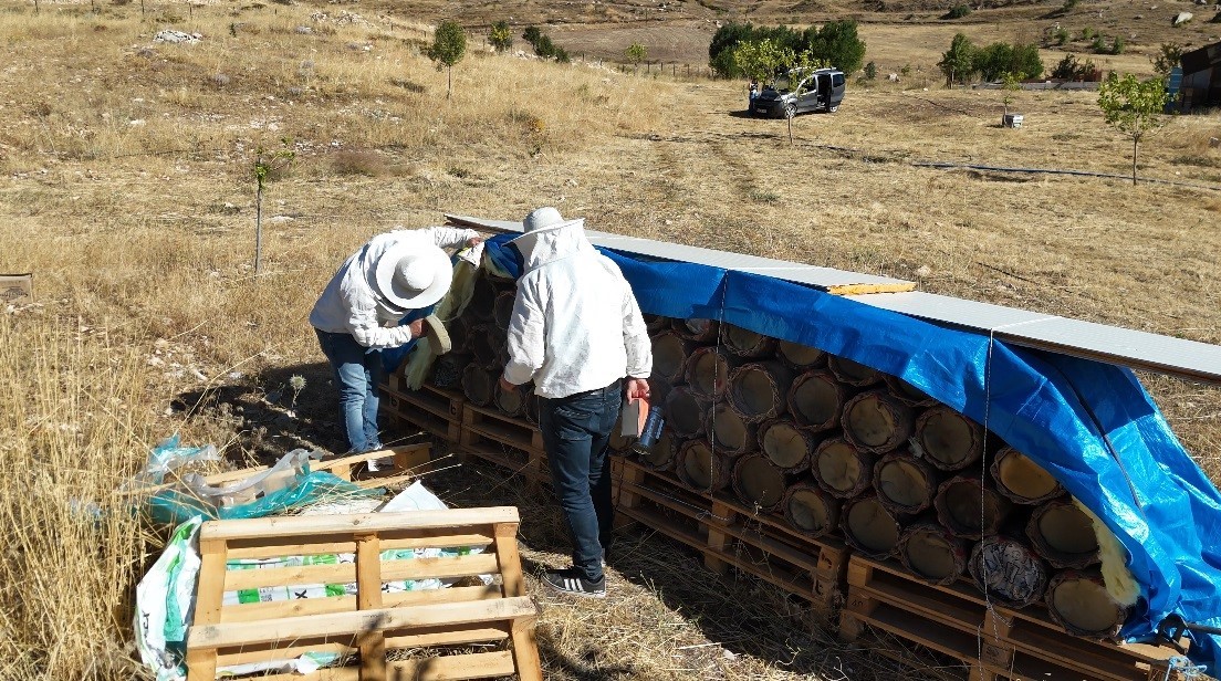 Tunceli’de yüzyıllık arıcılık geleneği yaşatılıyor
