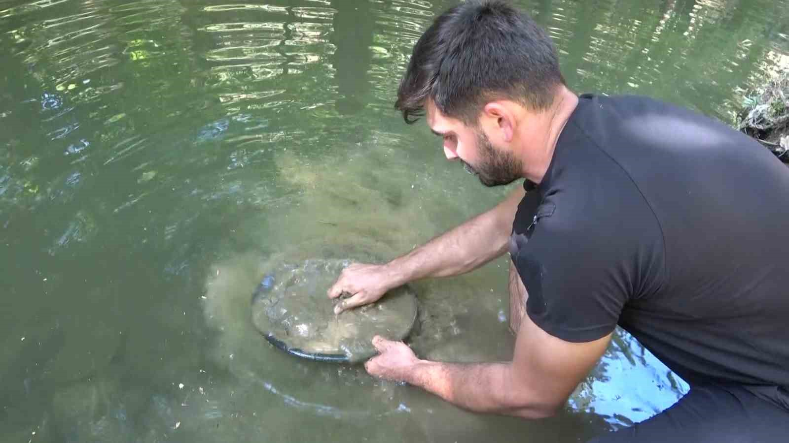 Türkiye’de altın çok arayan yok...Derelerde her gün 5 gram altın çıkarıyorlar
