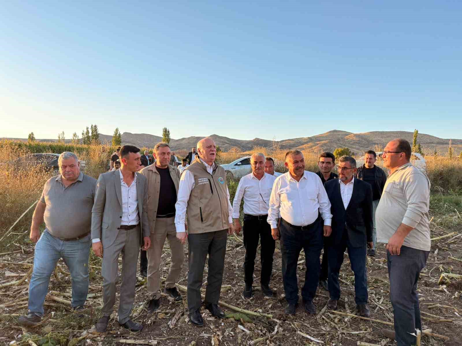 TZOB Genel Başkanı Şemsi Bayraktar, Akin’de ay çekirdeği hasadına katıldı
