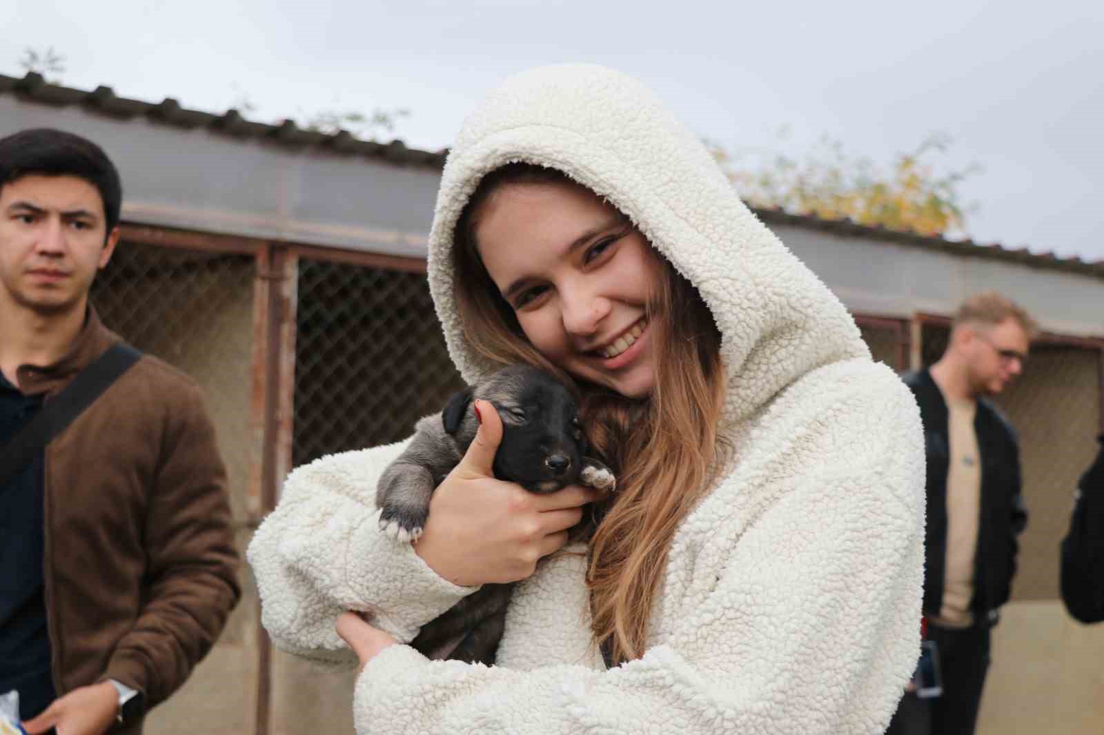 Yabancı öğrenciler ilk kez kangal gördü, hayranlığını gizleyemedi
