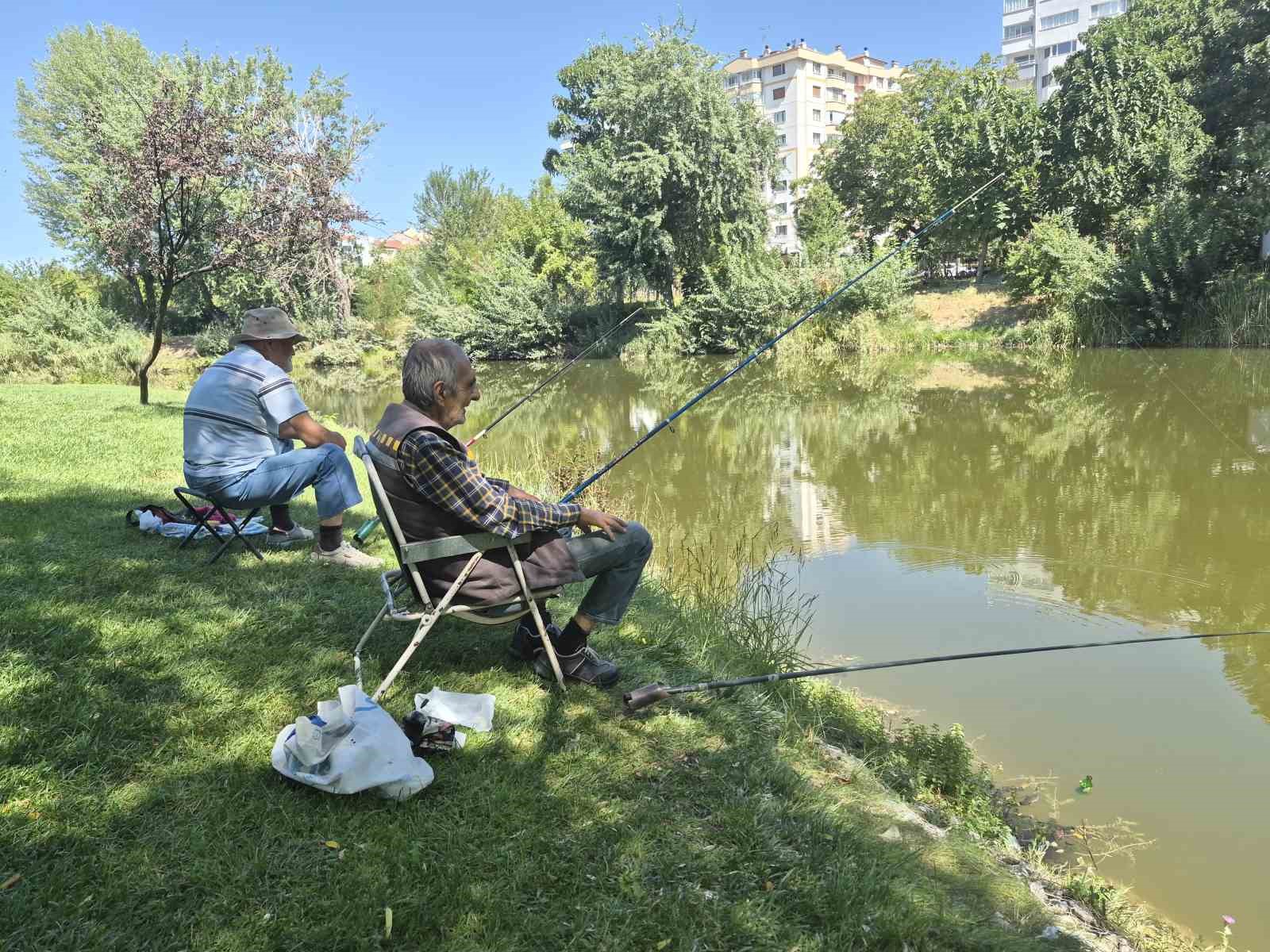 Yaşlı adam betonlaşmadan kaçıp su kenarına sığınıyor
