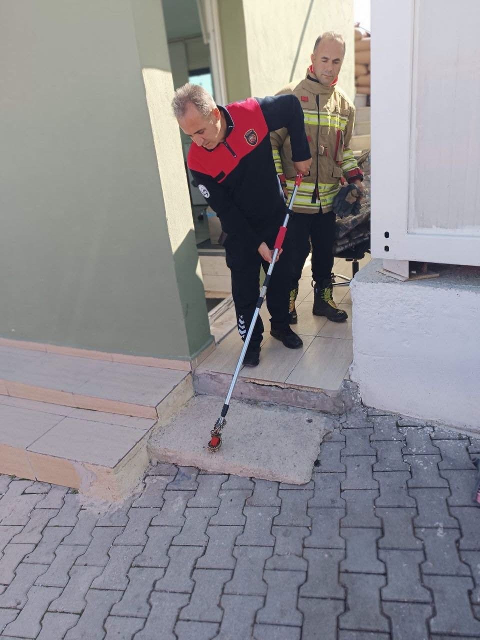 Yayladağı’nda yerleşim yerinde görülen yılan doğaya bırakıldı
