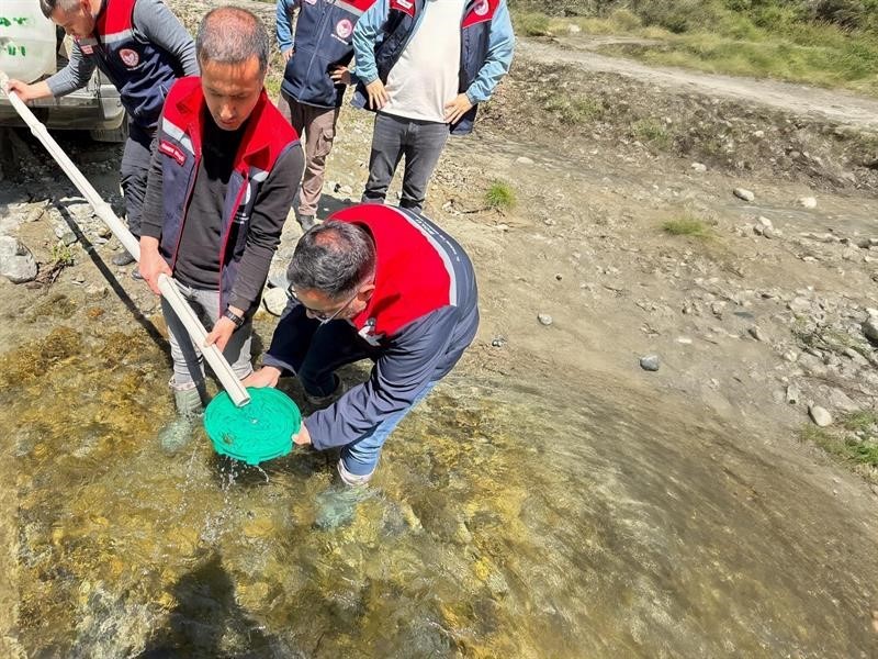 Yığılca’da derelere 50 bin kırmızı benekli alabalık yavrusu bırakıldı
