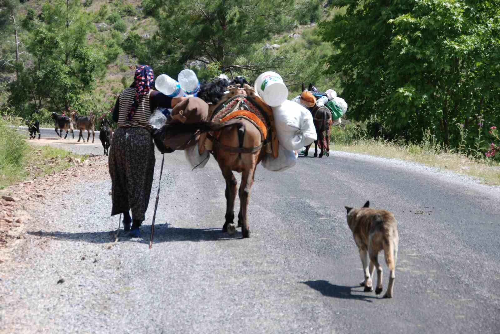 Yörüklerin Toroslar’dan sahile dönüş yolculuğu başladı
